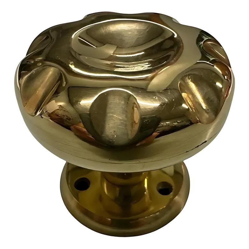 Pomo Fantasía Fijo Bronce Pulido Con Roseta Para Puertas Decorativo